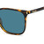 Brown Havana Black