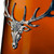 Dalmore Trio 40.0% 100cl - 4444218
