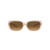 Brown Transparent Brown-Brown Gradient Polar
