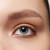 Brown Taupe
