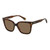 Brown Brown-Brown Brown Brown-Brown