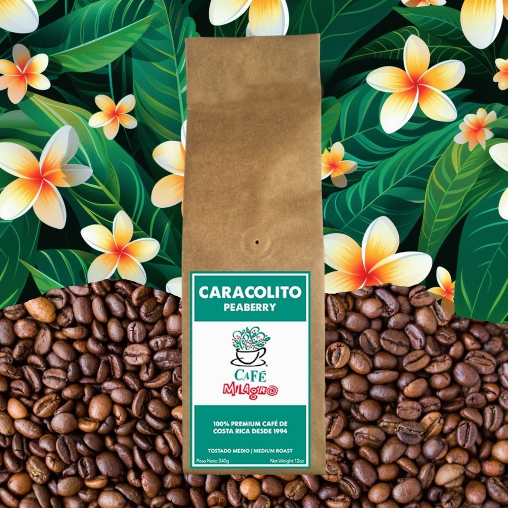 Peaberry_2025__58427.
