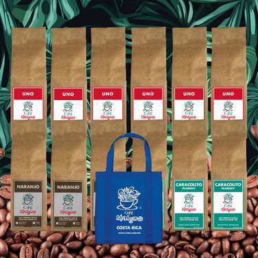 12-Pack & Tote PREMIUM