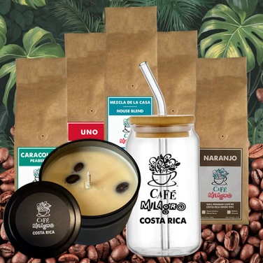 Holiday Brew Box