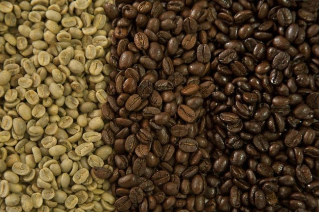 How Is Specialty Coffee Roasted? What Happens Between Green Bean and Your Cup