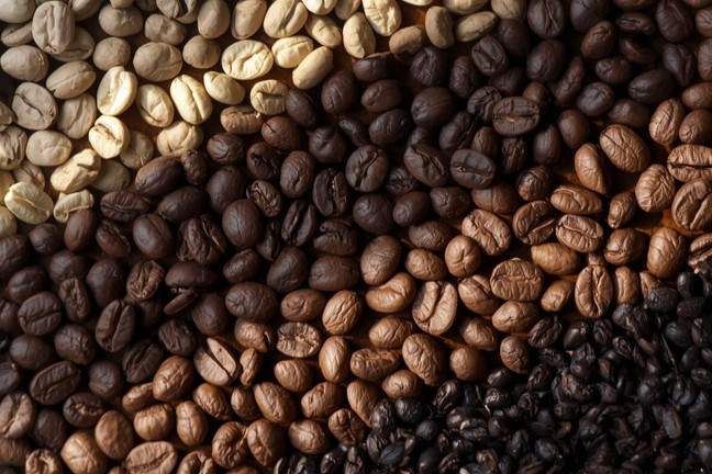 Light vs Medium vs Dark Roast: How to Find the Roast That Fits You