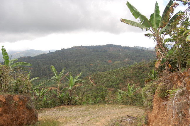 An Introduction to Coffee Growing Regions in Costa Rica