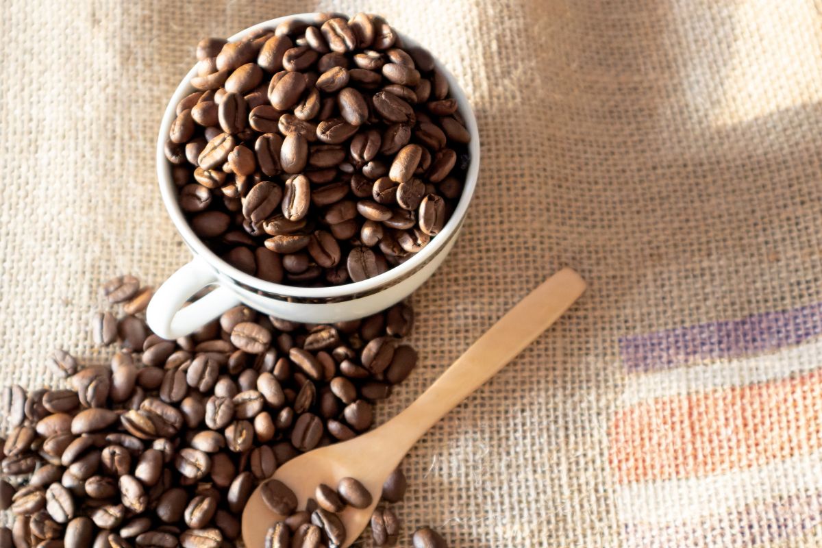 Why a Coffee Subscription Is the Best Decision You’ll Make All Year Why a Coffee Subscription Is the Best Decision You’ll Make All Year