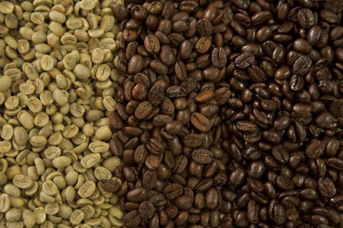 How Is Specialty Coffee Roasted? What Happens Between Green Bean and Your Cup