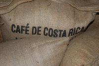 An Overview of the World's Coffee Growing Regions