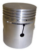 Piston & Pin (J0801538)