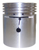 Piston & Pin (J8121654)