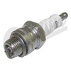 Spark Plug (4339491)