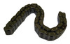 Timing Chain (J8134343)