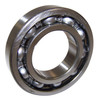 Input Shaft Bearing (J8131682)