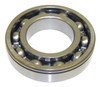 Input Shaft Bearing (J8132426)