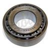 Input Shaft Bearing (83504410)