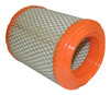 Air Filter (4593914AB)