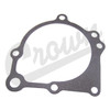 Water Pump Gasket (53010419)