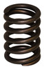 Valve Spring (J3242678)