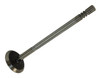 Exhaust Valve (4884690AA)
