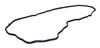 Valve Cover Gasket (53022009AA)