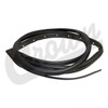 Door Weatherstrip (55399215AF)