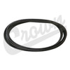 Accessory Drive Belt (5281454AA)