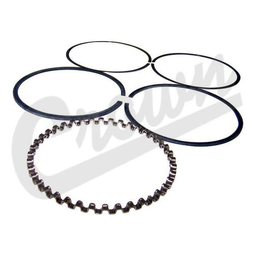 Piston Ring Set (83501895)