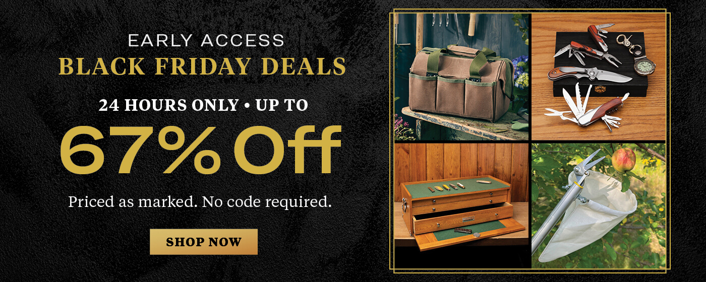 black friday early access