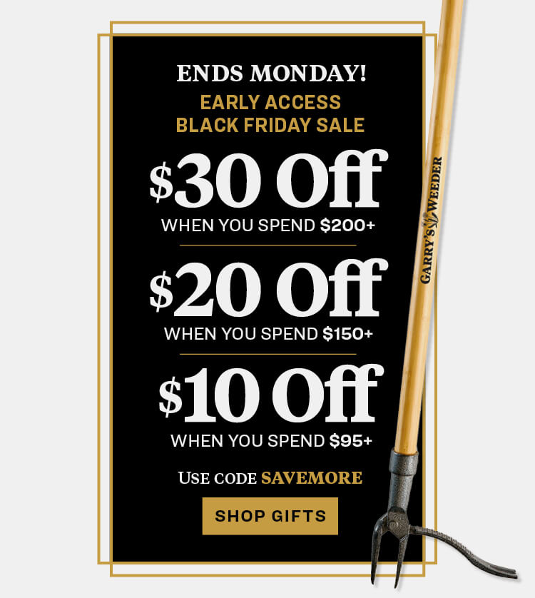 black friday early access