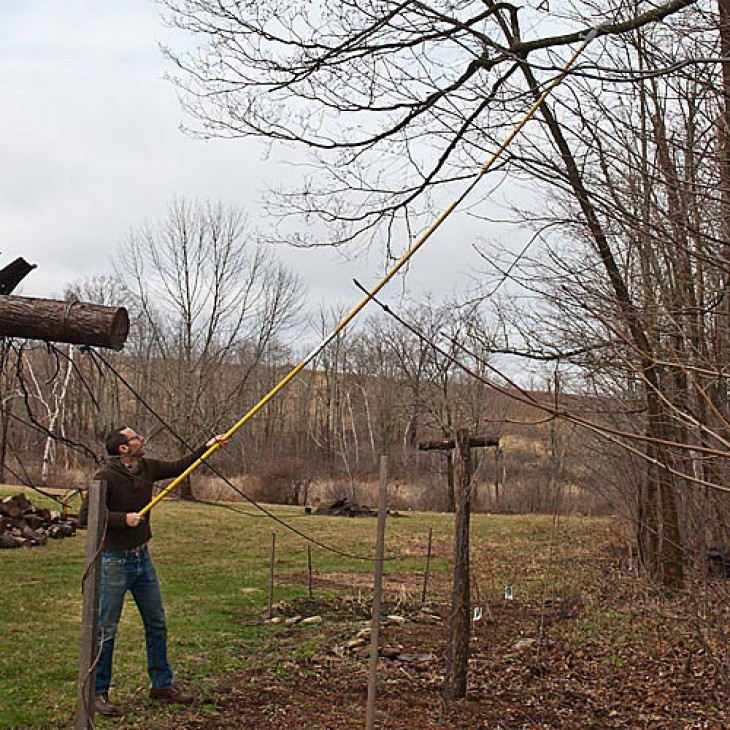 High-Reach 19 ft Long Pole Saw - Made 
