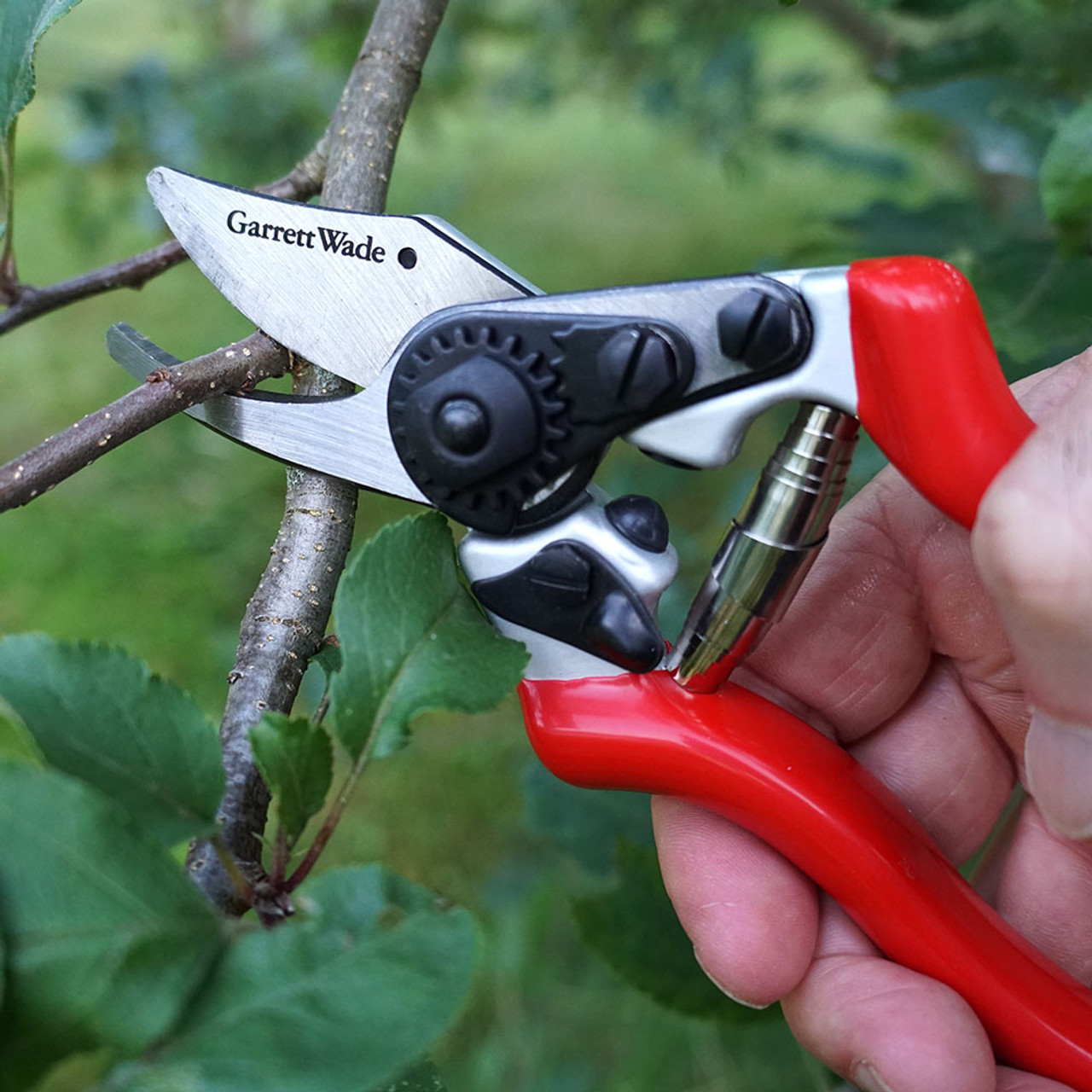 Pruning Shears: The Go-To Garden Tool