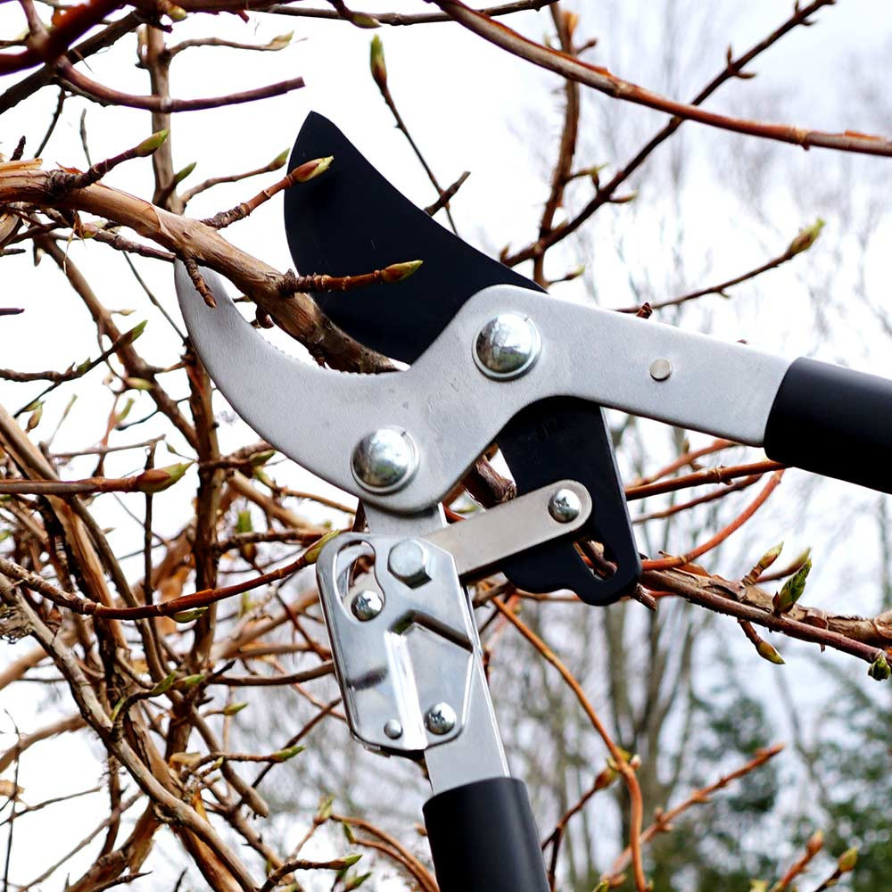 BOND COMMERCIAL TREE LOPPER SHEARS - Bentley & Associates, LLC