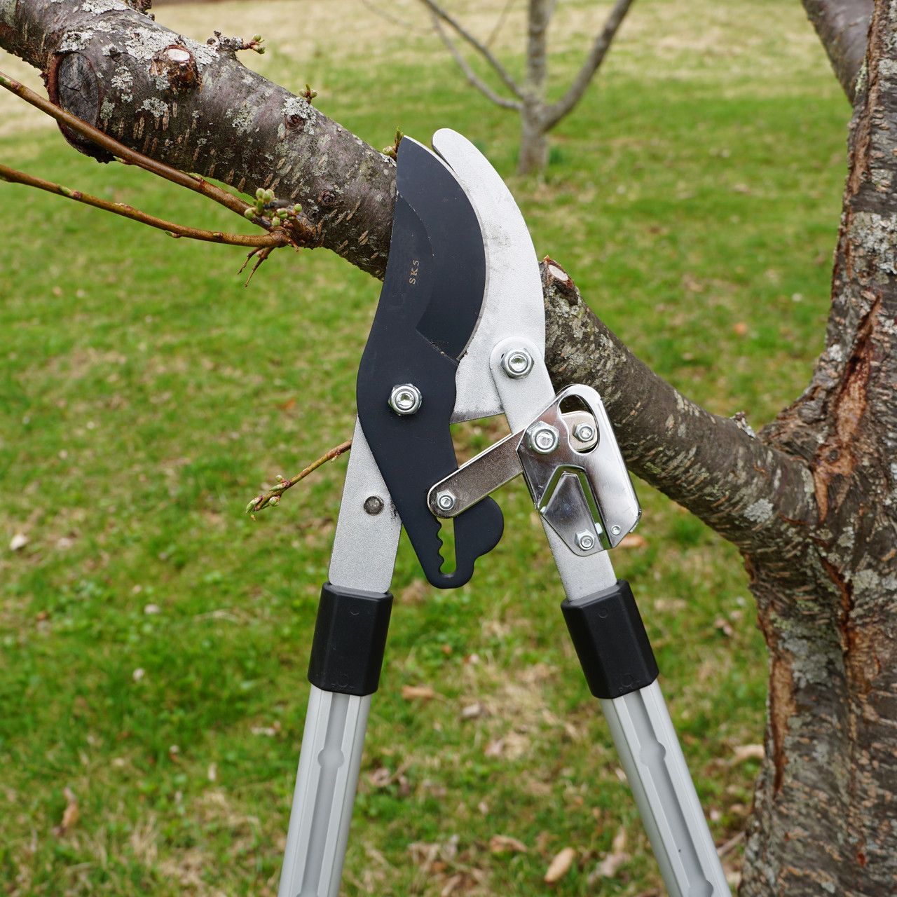 Garrett Wade Bypass Pruner