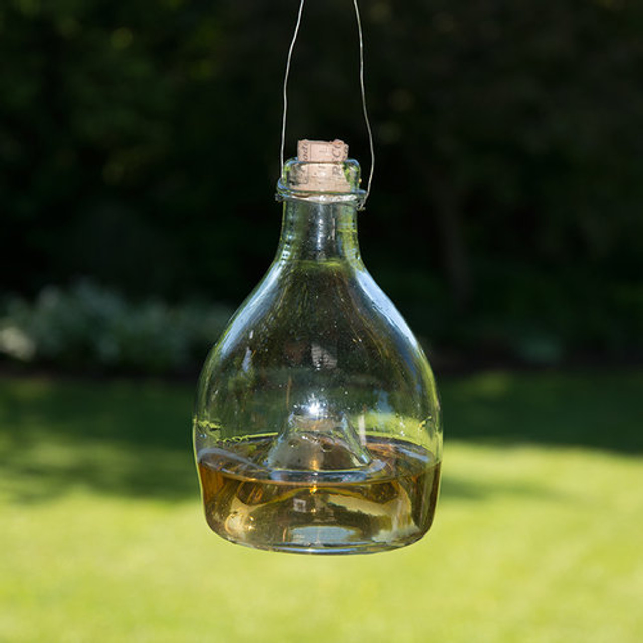 Glass wasp trap bait clearance