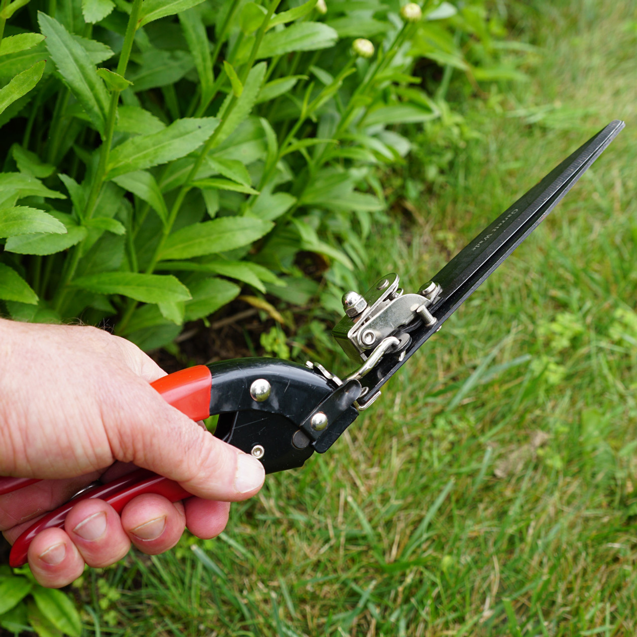 hedge trimmer scissors