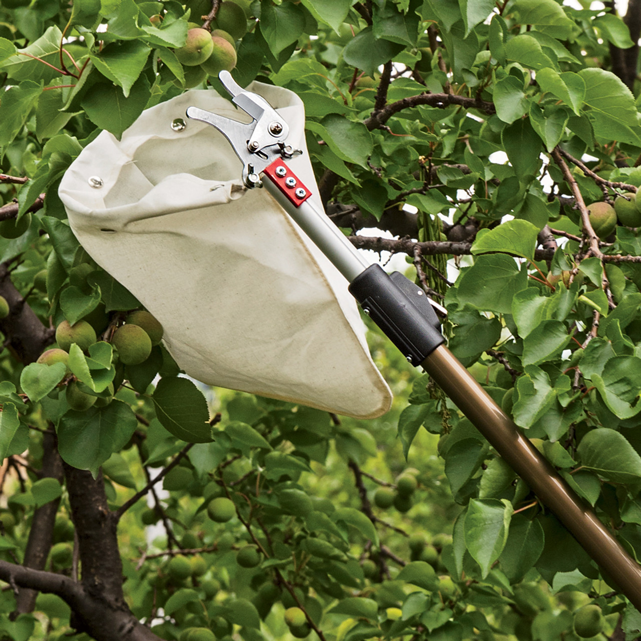 PDF] Developing a new design of wood chopper for grape vine and fruit tree  pruning and the results of field testing