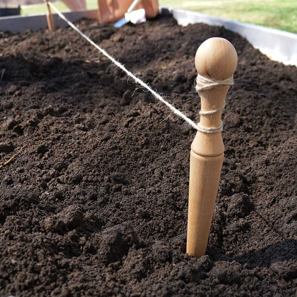 European Beechwood Dibber & Row Stakes with Jute Twine