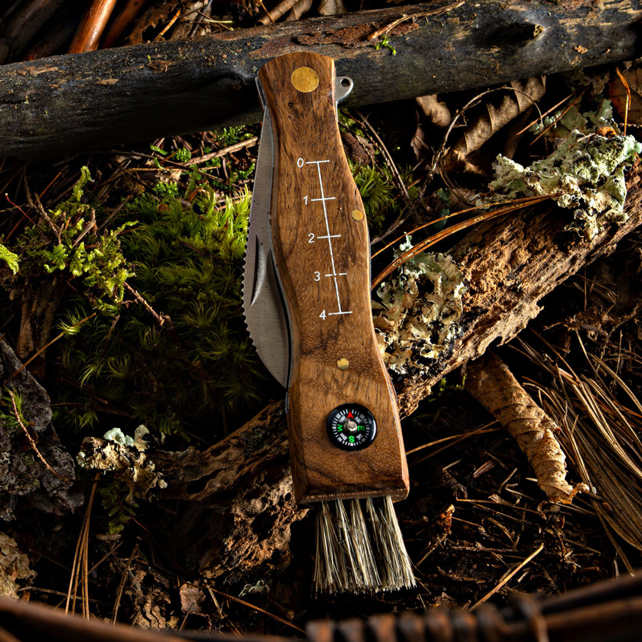 Mushroom Knife With Brush Forged Knive for Mushroom Harvest