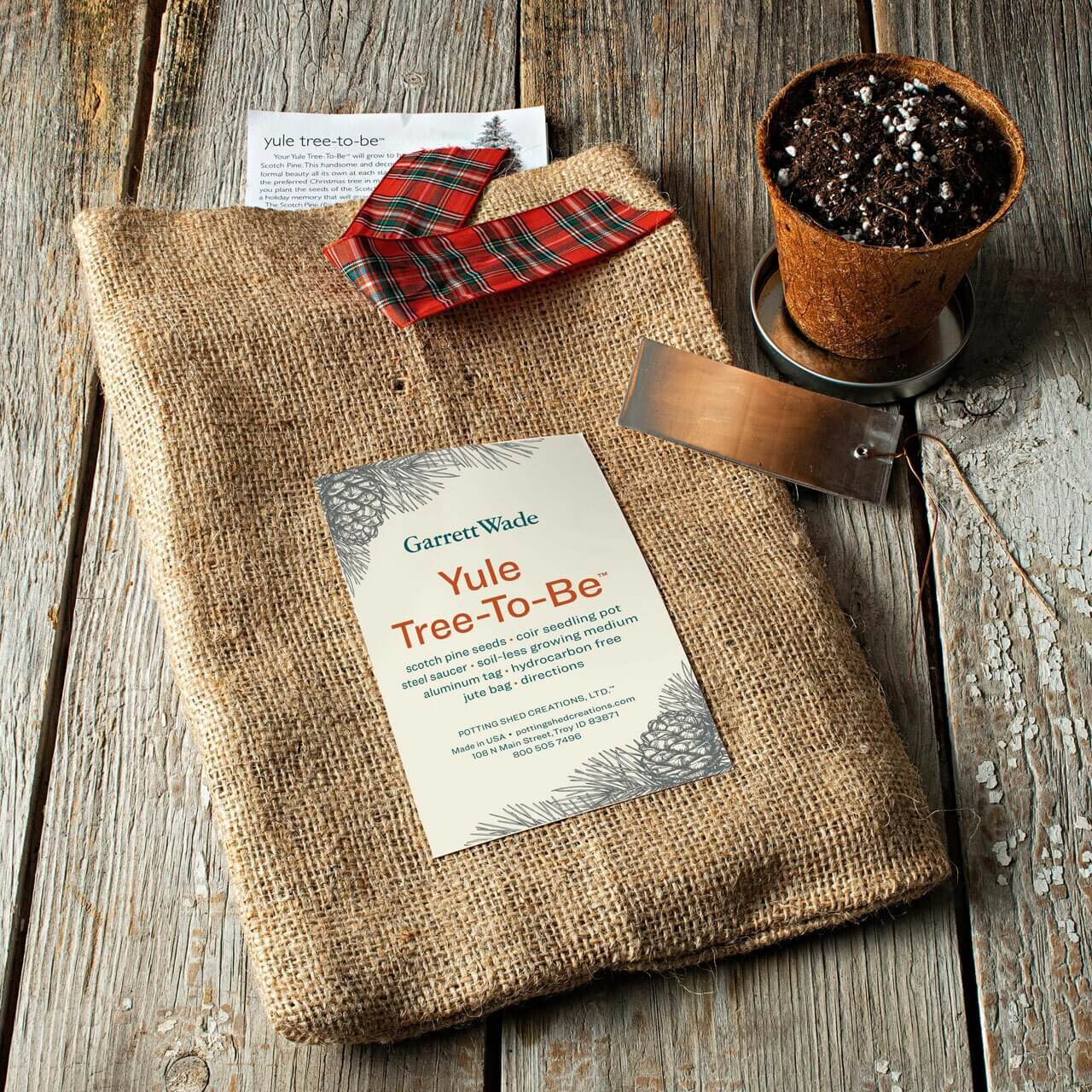 Grow Your Own Christmas Tree Yule Trees at Garrett Wade