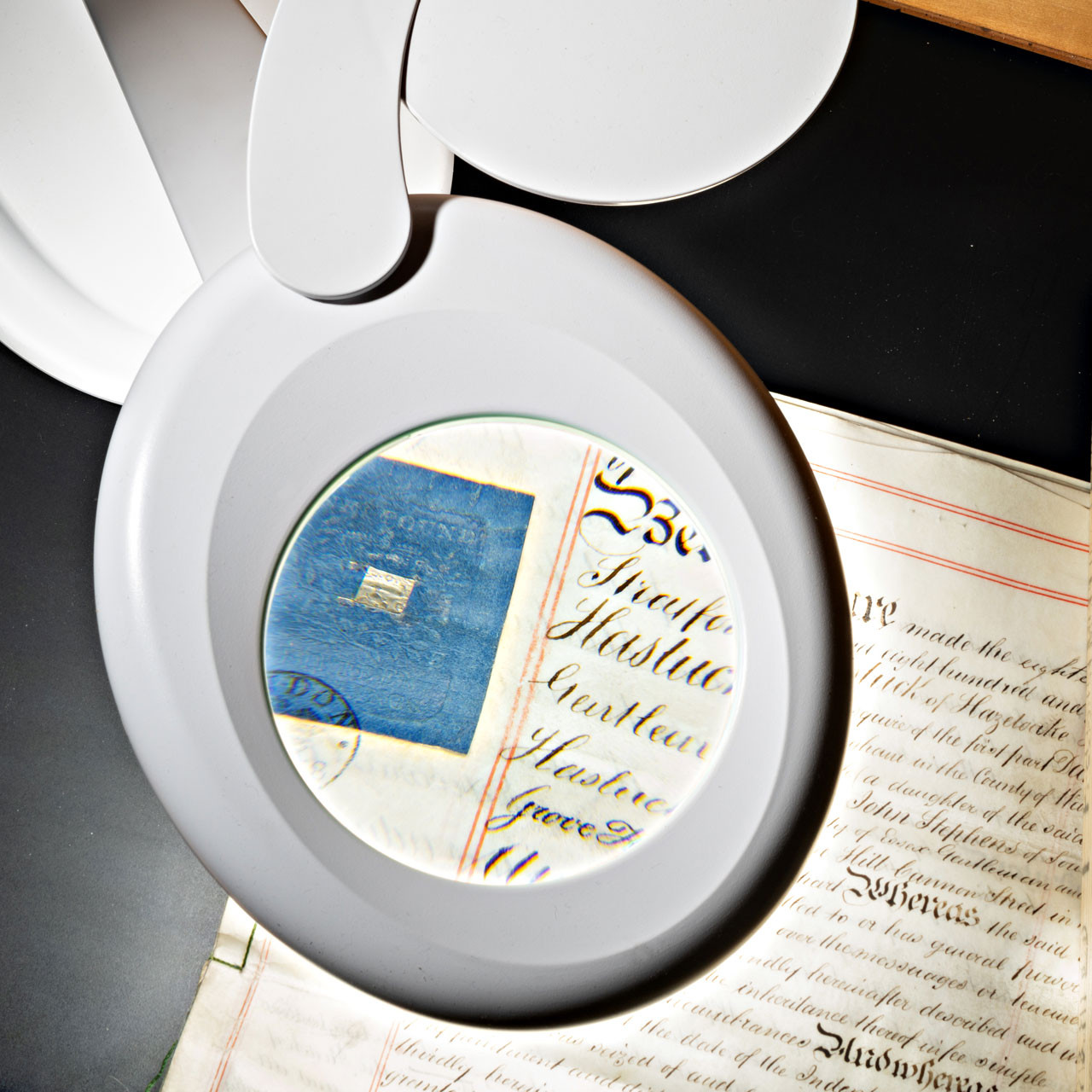 Pro Quality Magnifying Desk Lamp