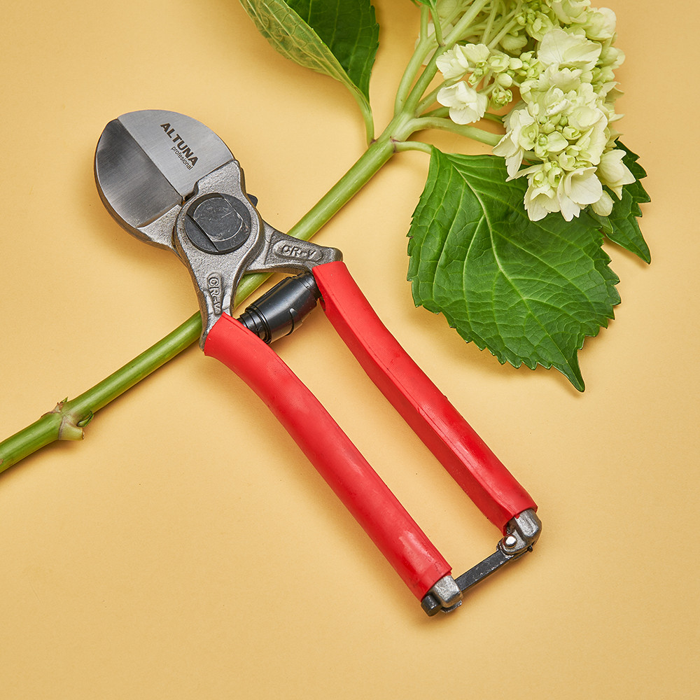 Ultimate DoubleBladed Precision Pruner