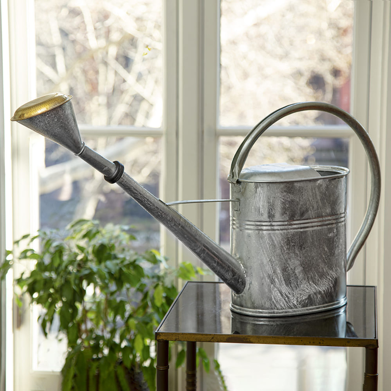 2Gallon Oval Watering Can With Brass Rose