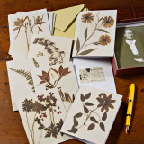 Botanical Inspired Notecard Set