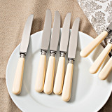 アンティークティーナイフ6本セット(box入り)ジェームスワーカー Amazon｜Zwilling ツヴィリング 「 ツインセルマックス M66
