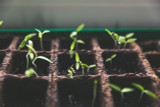 How to Create the Perfect Soil | Garrett Wade |Soil Recipe How to Create the Perfect Soil | Garrett Wade |Soil Recipe