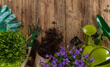 Top 10 Essential Garden Tools For Spring