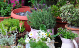 Container Gardening: Getting the Thrills, Chills, and Spills of Great Container Design for your home. Container Gardening: Getting the Thrills, Chills, and Spills of Great Container Design for your home.