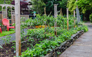 Annie’s Small Space Gardening Extreme Urban Farm